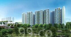 Blk 698A Jurong West Blossom (Jurong West), HDB 3 Rooms #616982271